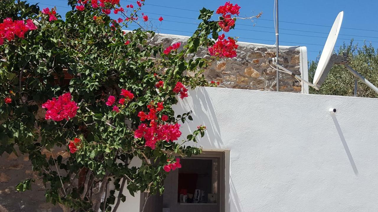 Flora'S Beach And Pool Villa In Syros Liaropa Exterior photo